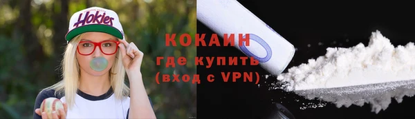сатива Беломорск