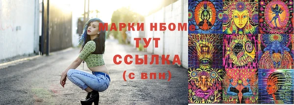 СК Протвино