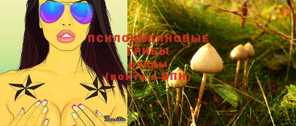 ешки Пролетарск