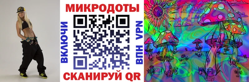 блэк спрут ТОР Устюжна Псилоцибиновые грибы Magic Shrooms